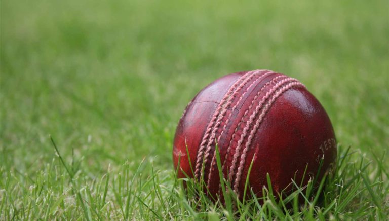 cricket