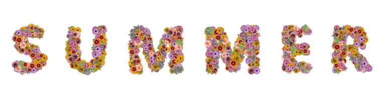 flowers-1389852_1280